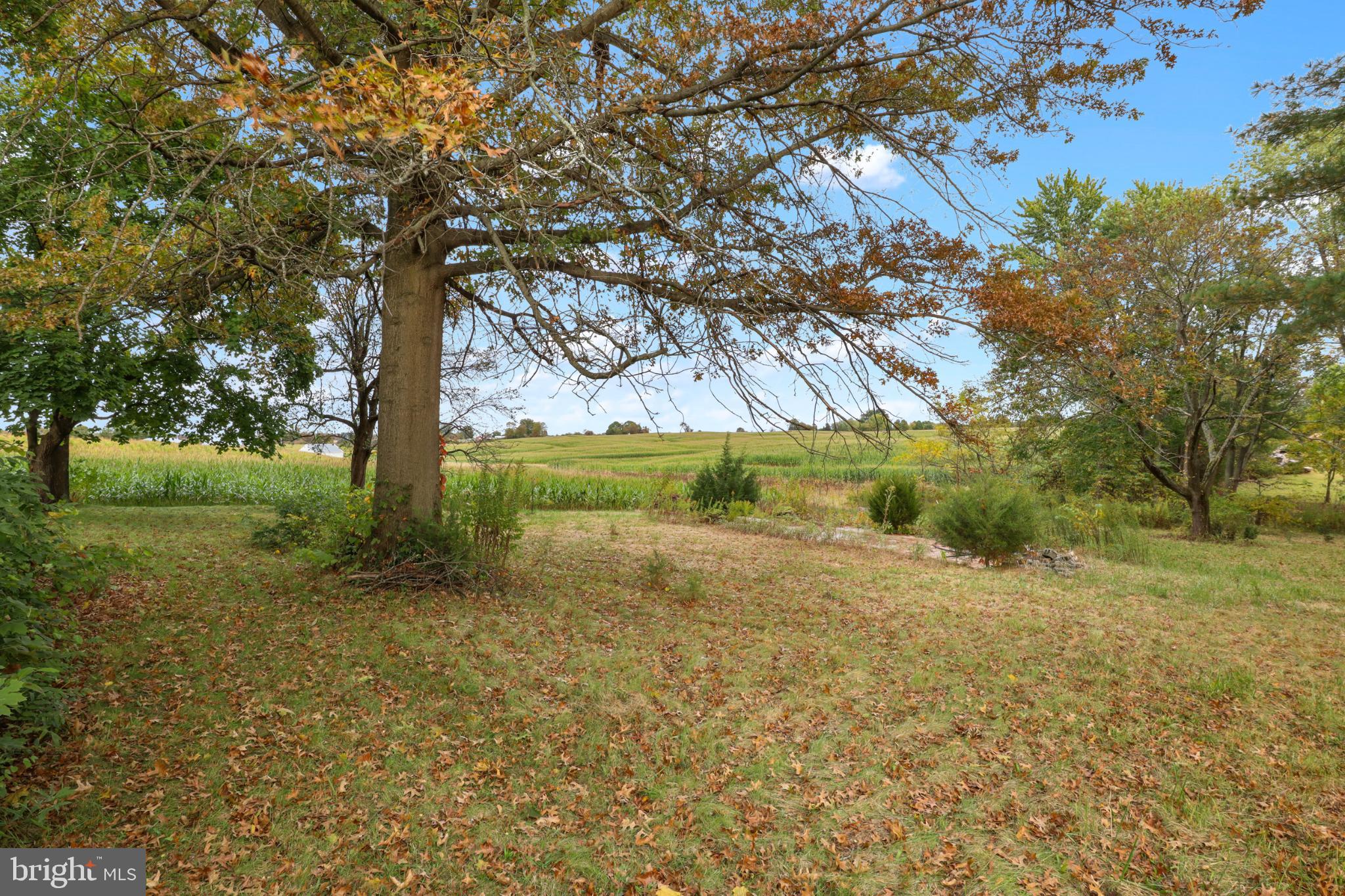 DOVER TWP - Residential