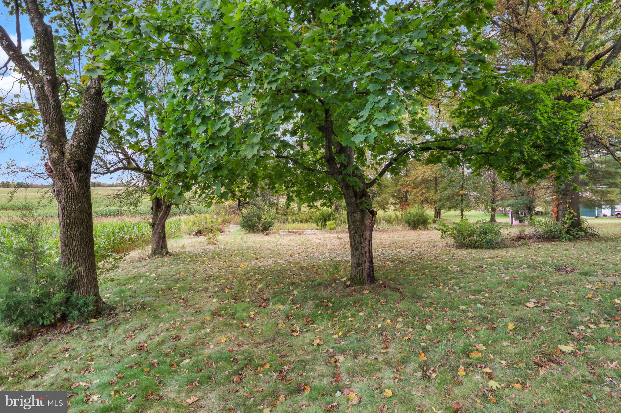 DOVER TWP - Residential