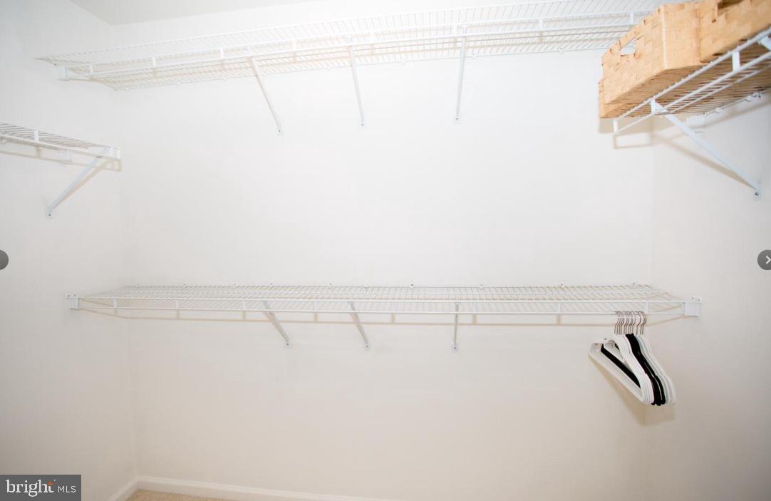 WOODS AT LOUVIERS - Residential