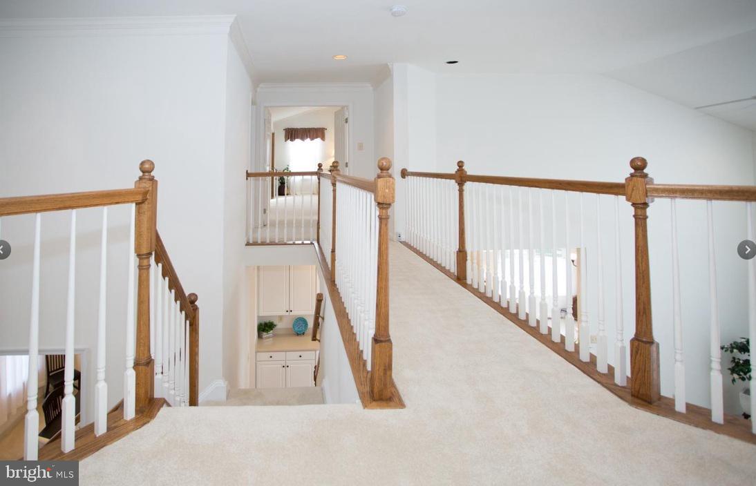 WOODS AT LOUVIERS - Residential