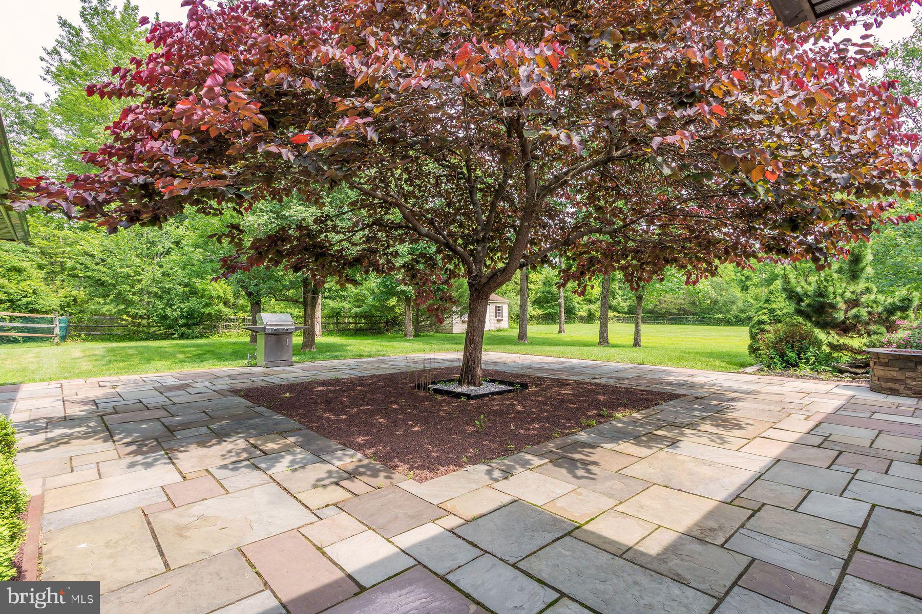 DOYLESTOWN - Residential Lease