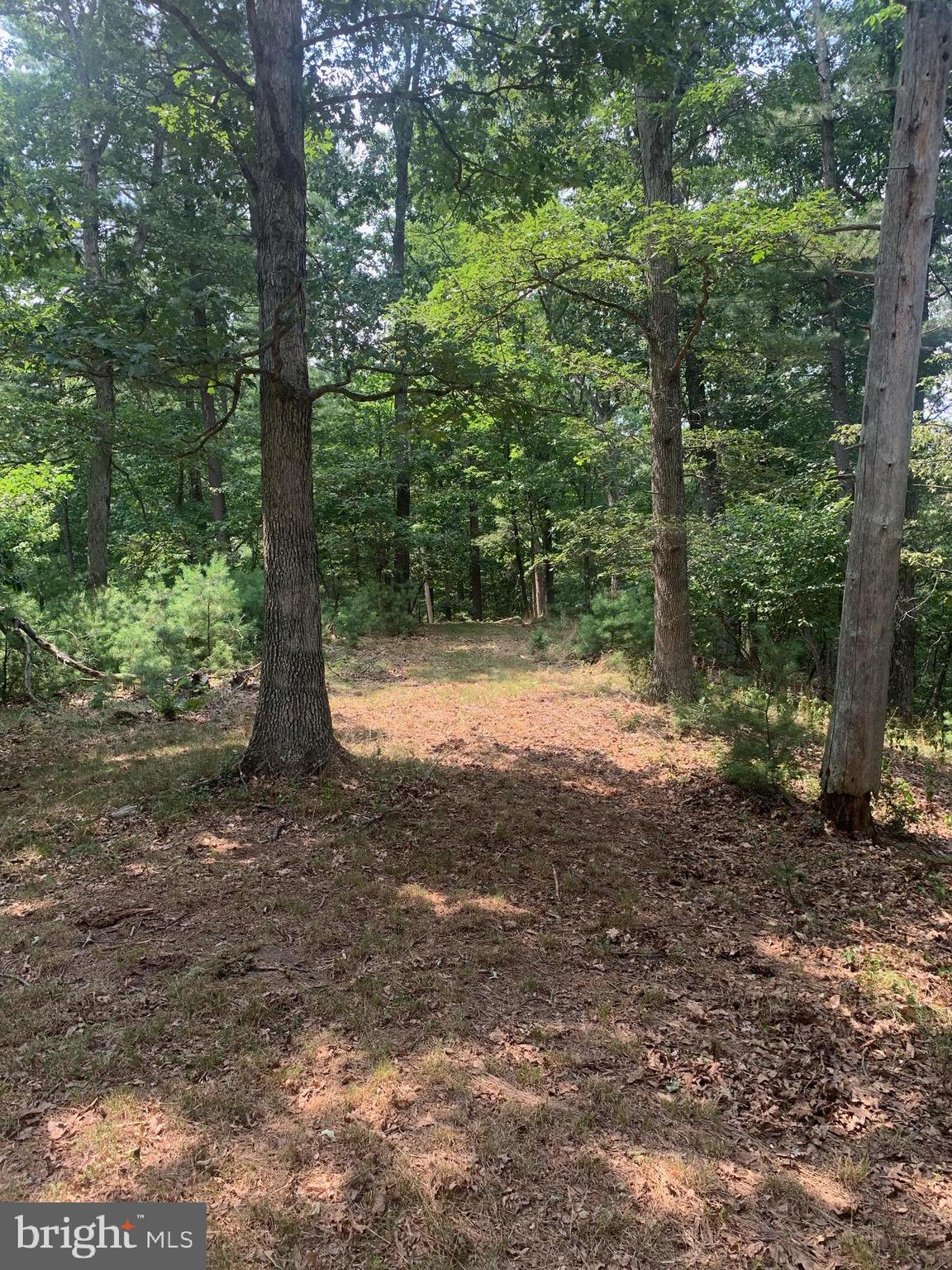 ROLLING HILLS ESTATES - Land