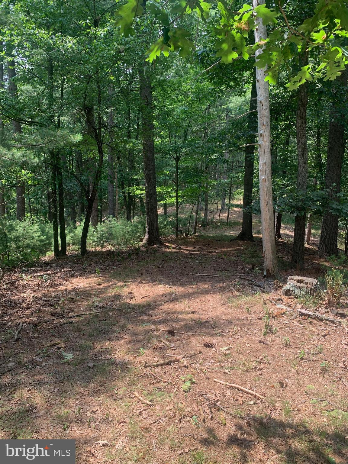 ROLLING HILLS ESTATES - Land