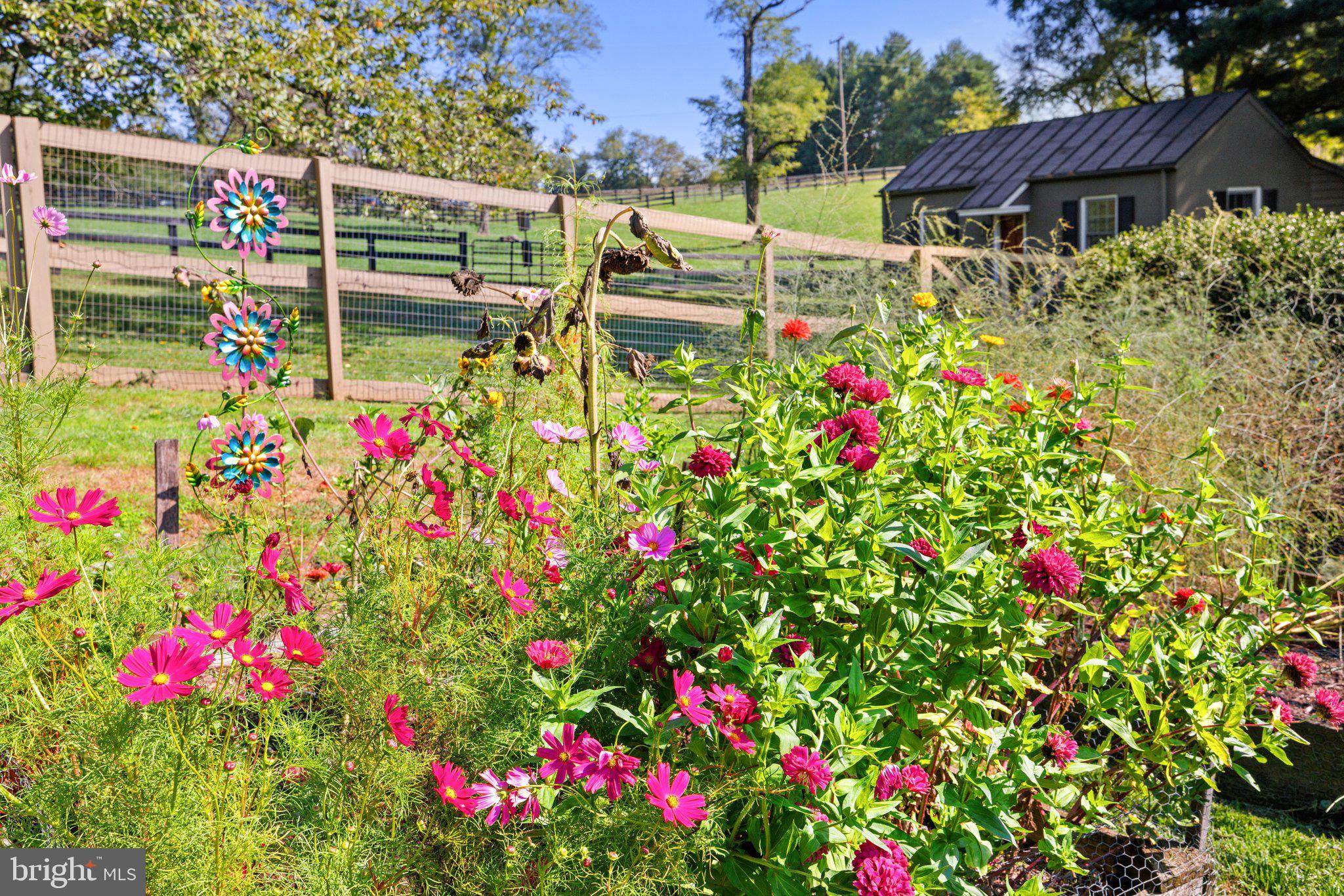 PHILOMONT - Residential