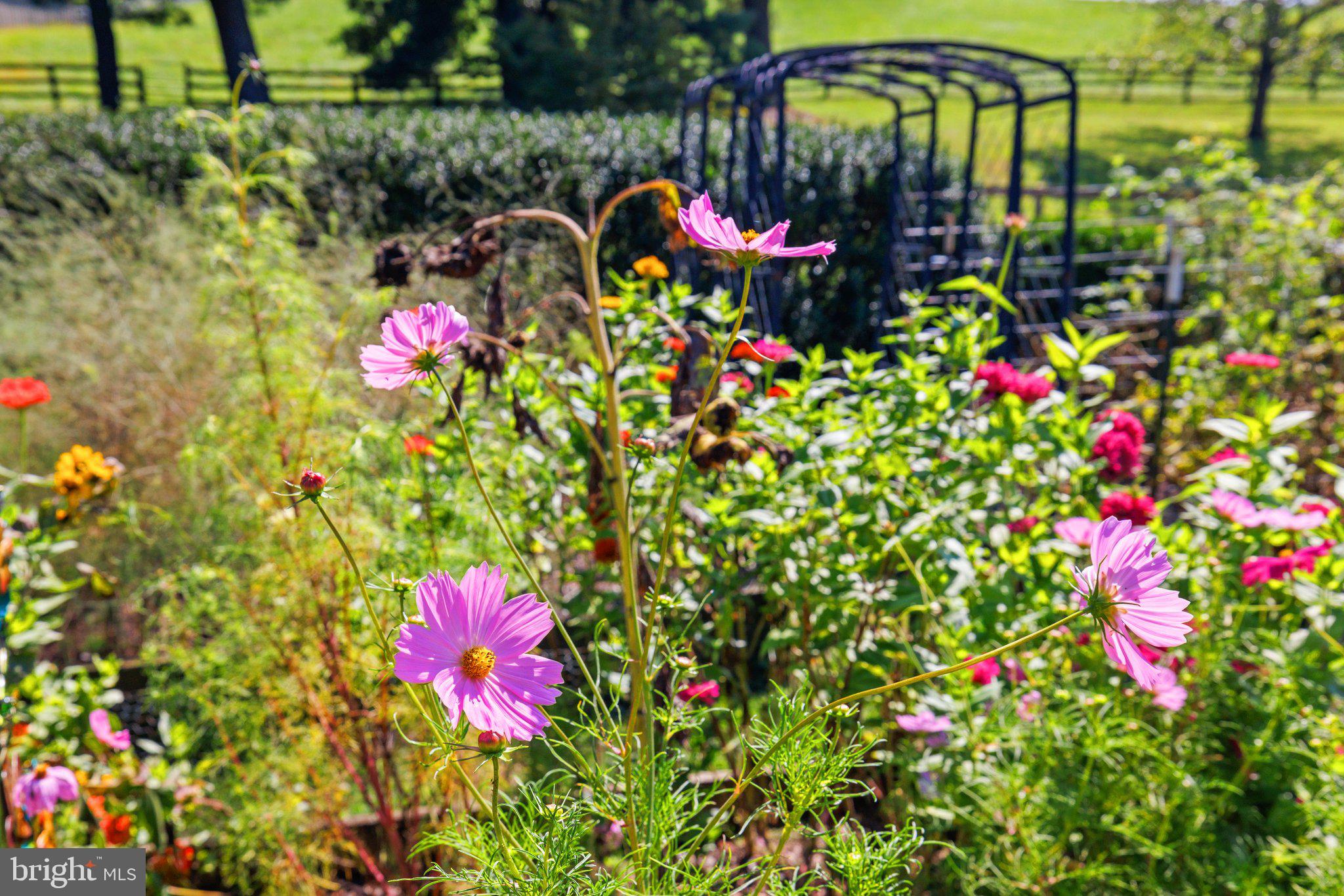 PHILOMONT - Residential