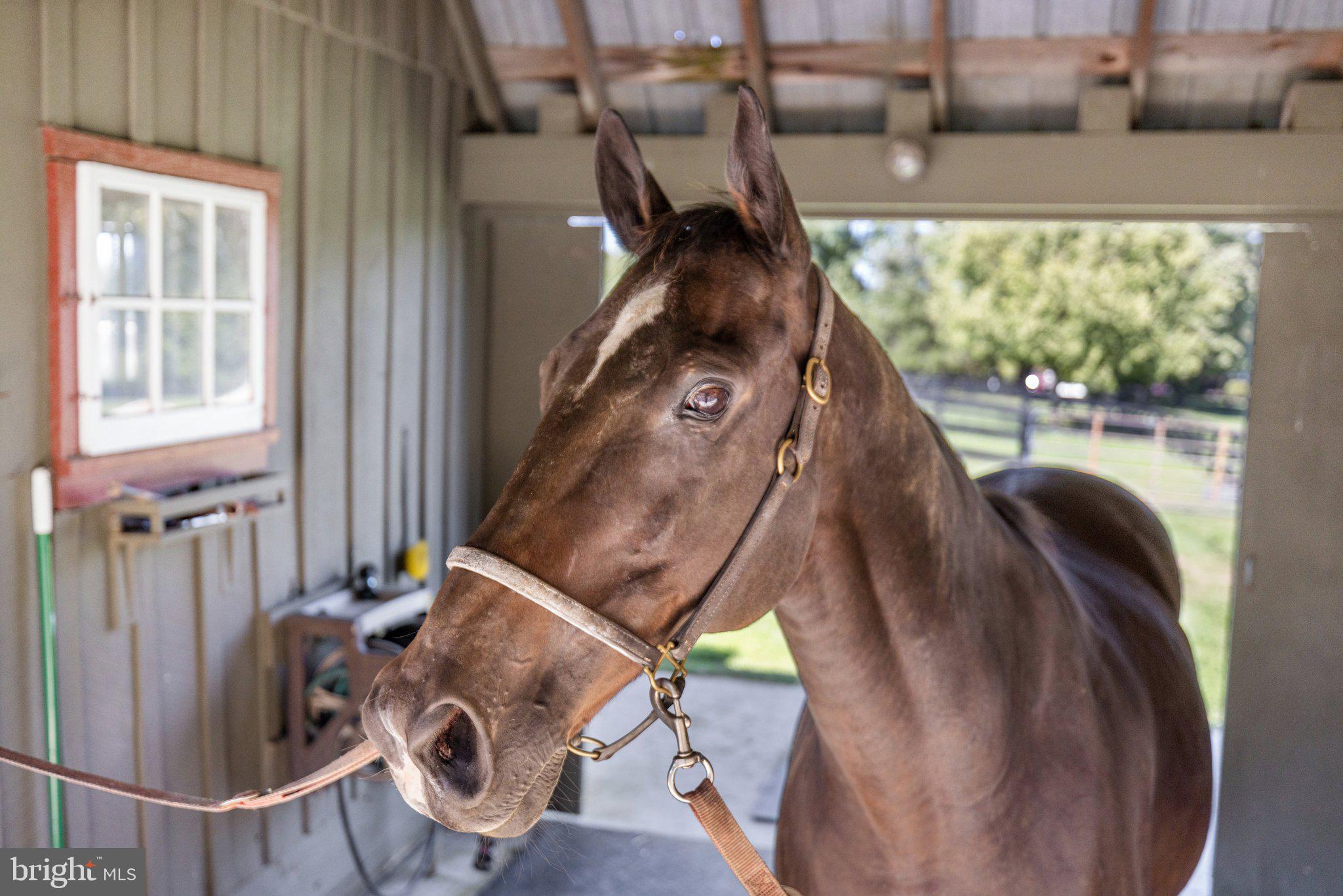 PHILOMONT - Residential