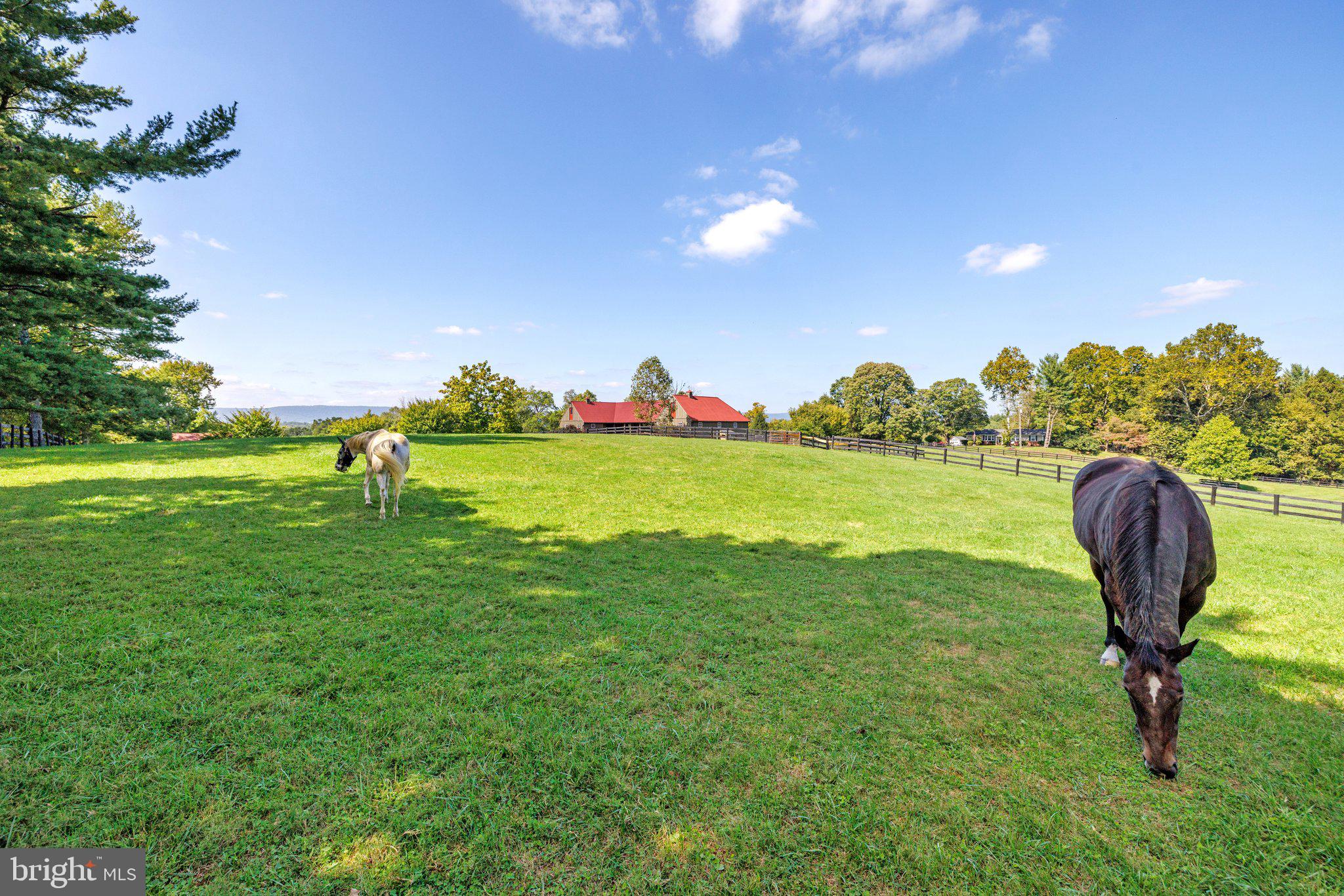 PHILOMONT - Residential