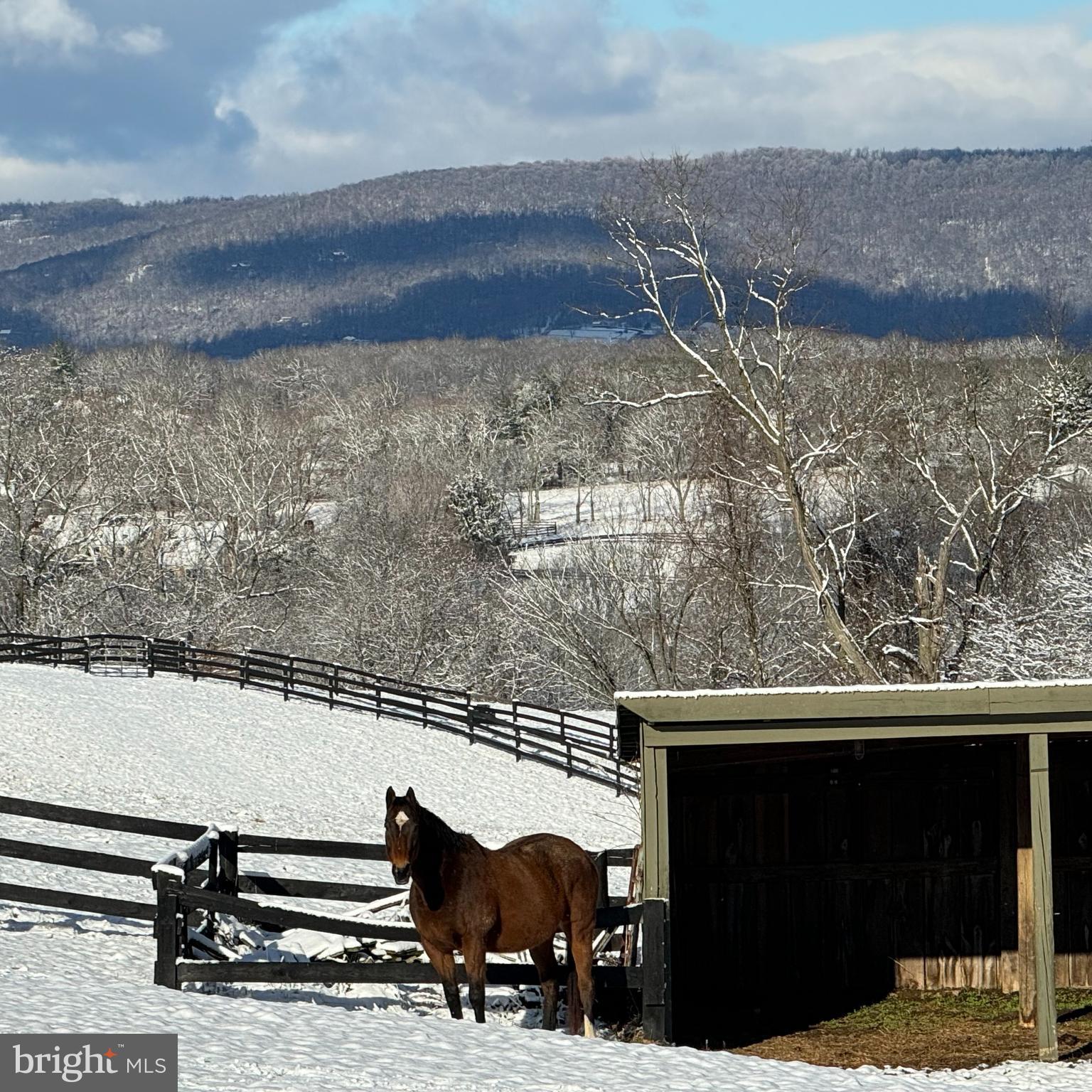 PHILOMONT - Residential