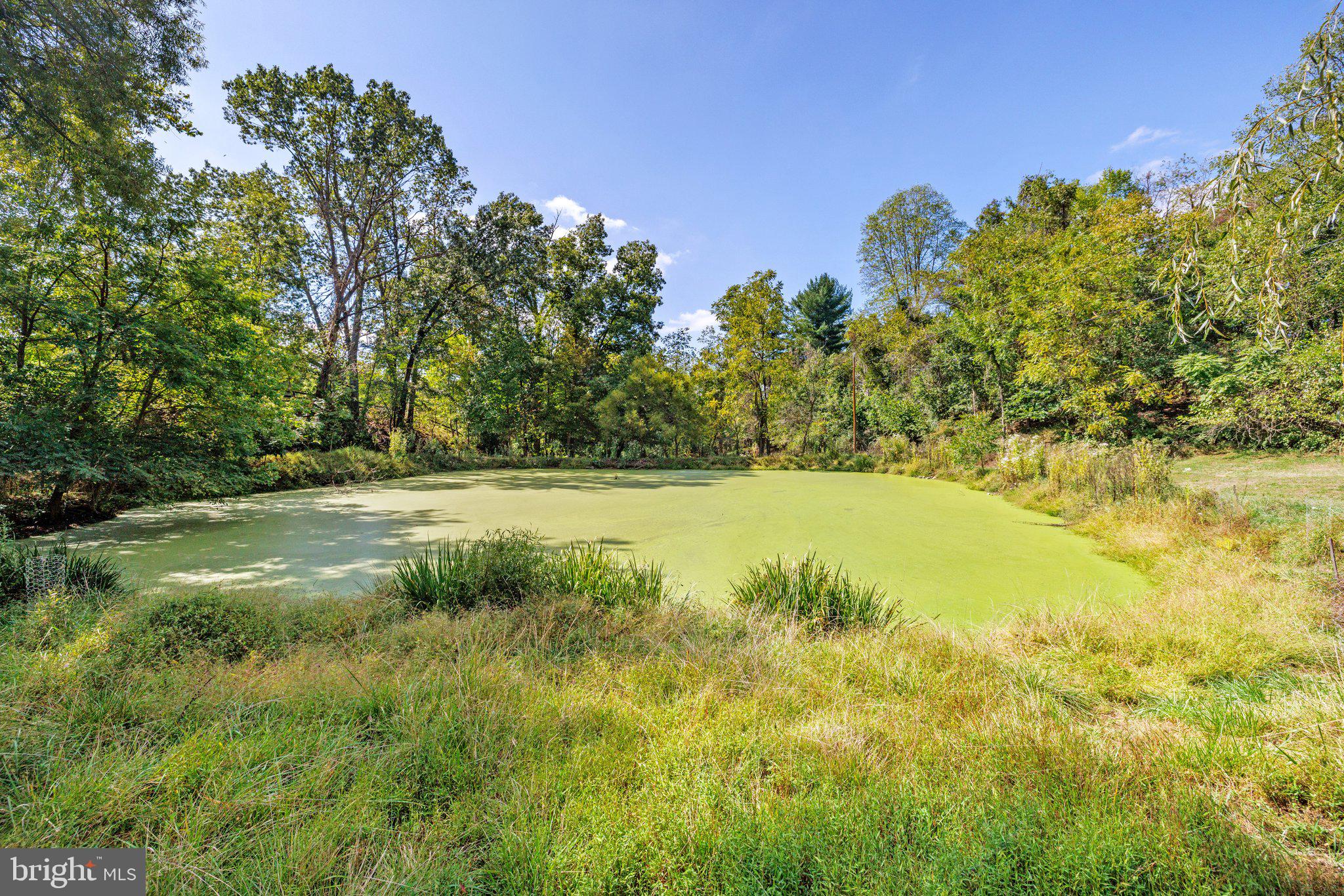 PHILOMONT - Residential