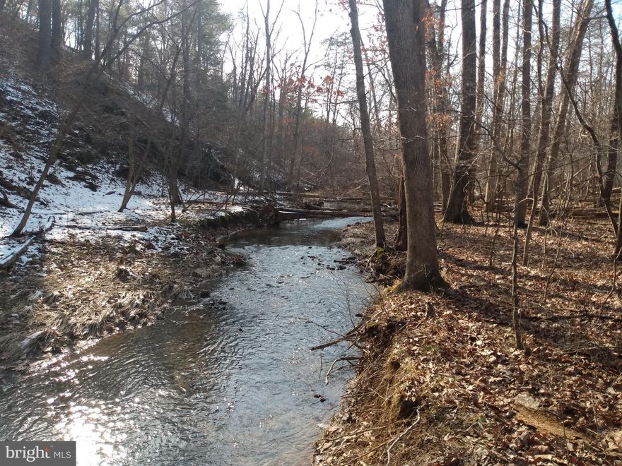 12 acres of WV Paradise! Near the Potomac River for all your fishing and water activities and located on a small paved road for easy access year round. Here you'll find a very diverse property with a flowing stream traveling through the property for over 700 feet and bottom land that is full of wild game and little critters, kind of your own nature sanctuary. Overlooked by a small knoll for a building your weekend retreat or permanent residence and already approved for septic. The hill side is crossed with deer trails and cedar trees. Located conveniently between Berkeley Springs and Martinsburg with an easy drive to I-81, and only 1 mile to the WV DNR boat ramp and some of the best bass fishing in the area.  No home owners association here!  Don't let this one pass you by, Call today!