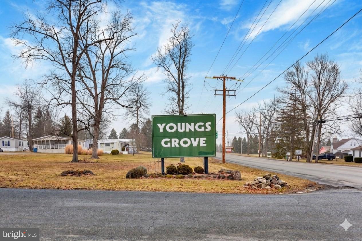 YOUNGS GROVE - Residential