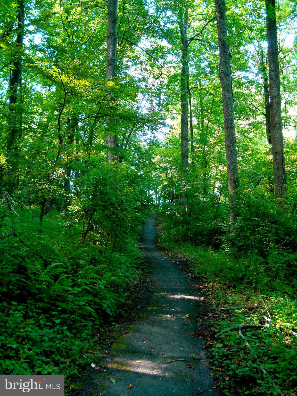 GLENCANNON - Residential