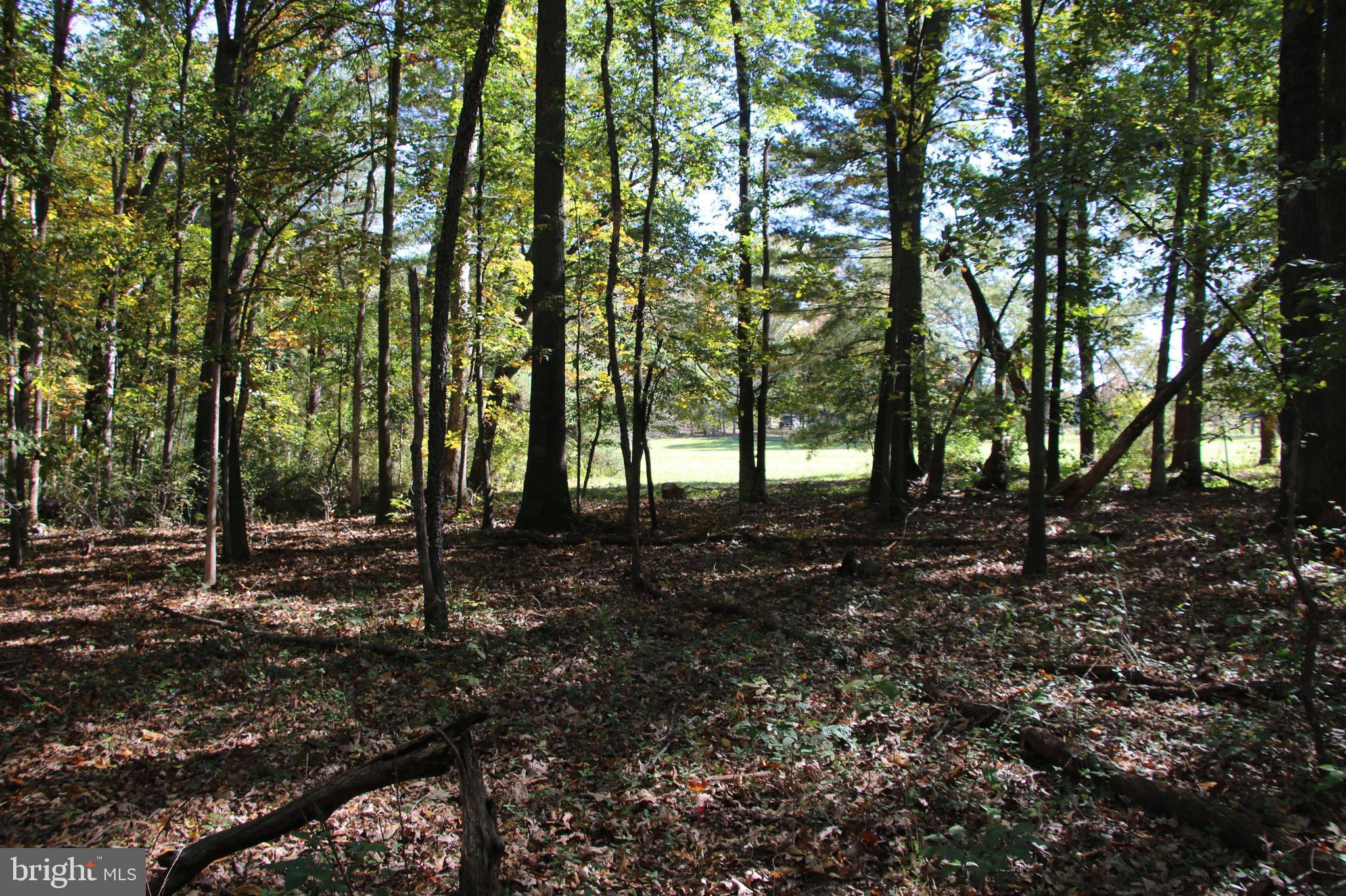 SADLICK LOT S ROAD