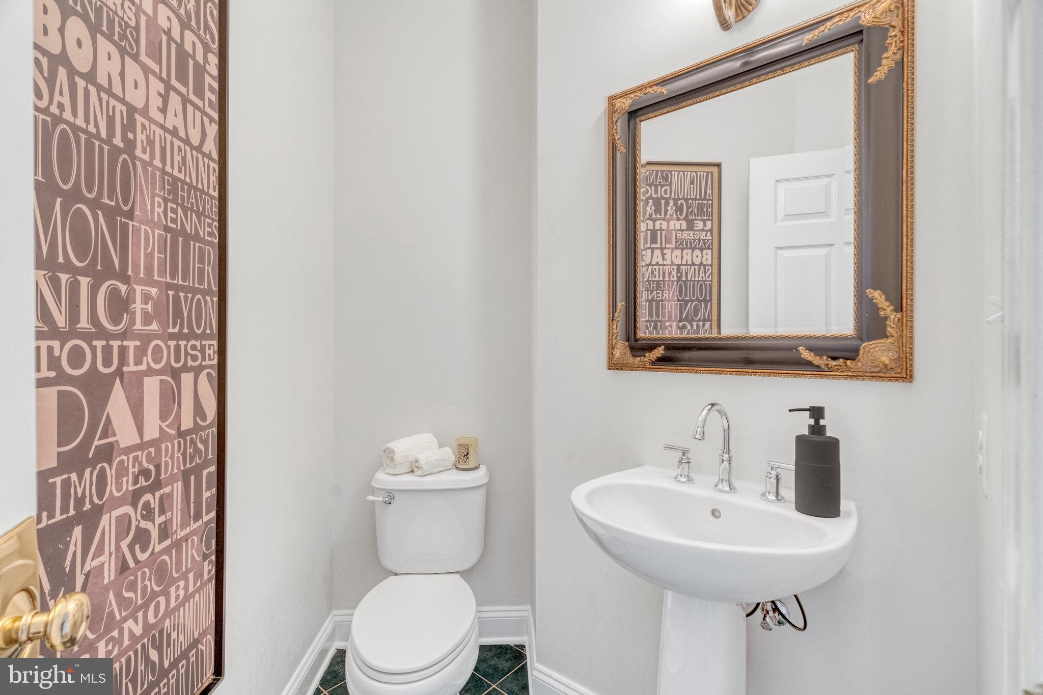 HUNTER MILL ESTATES - Residential