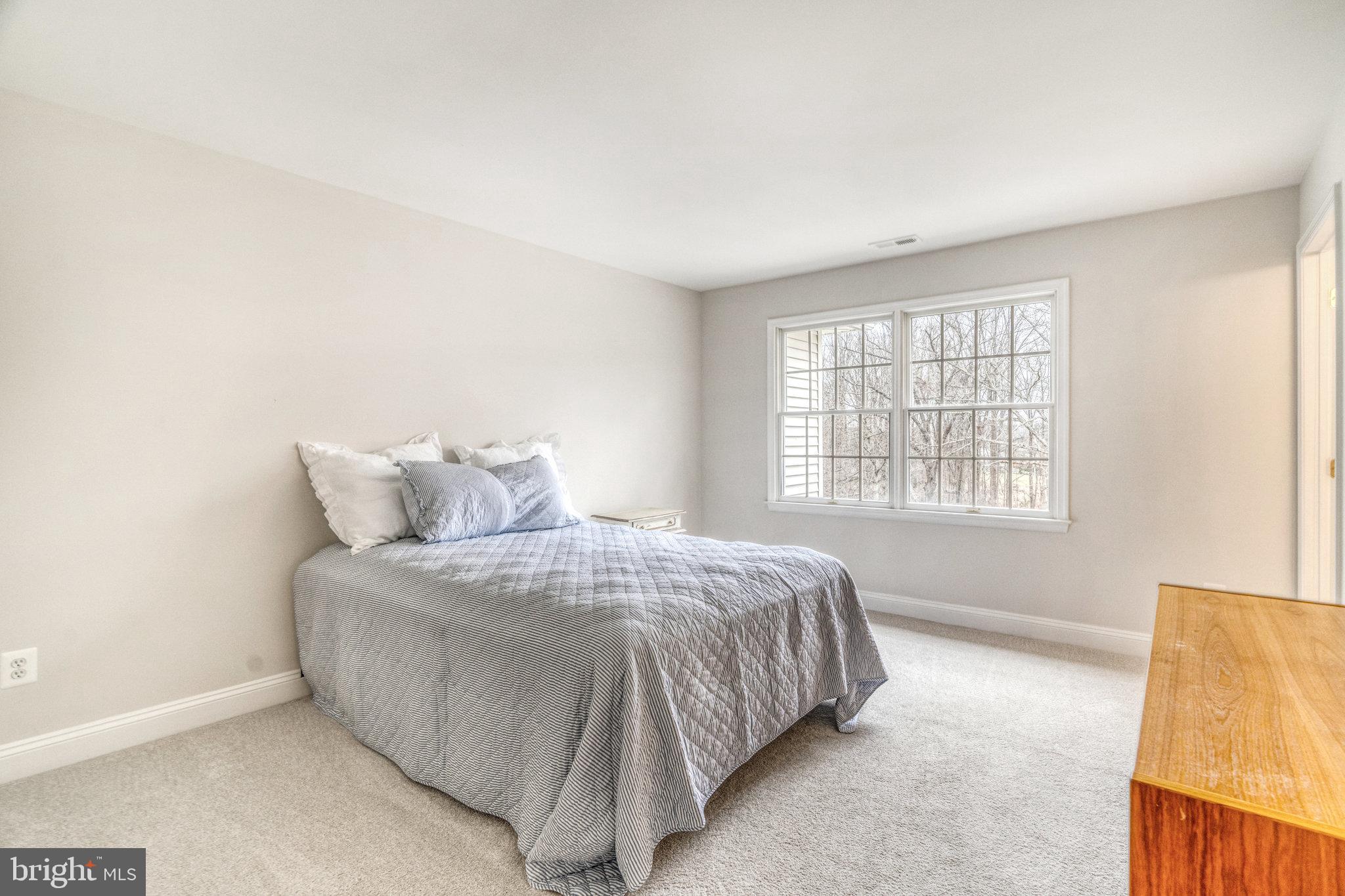 HUNTER MILL ESTATES - Residential