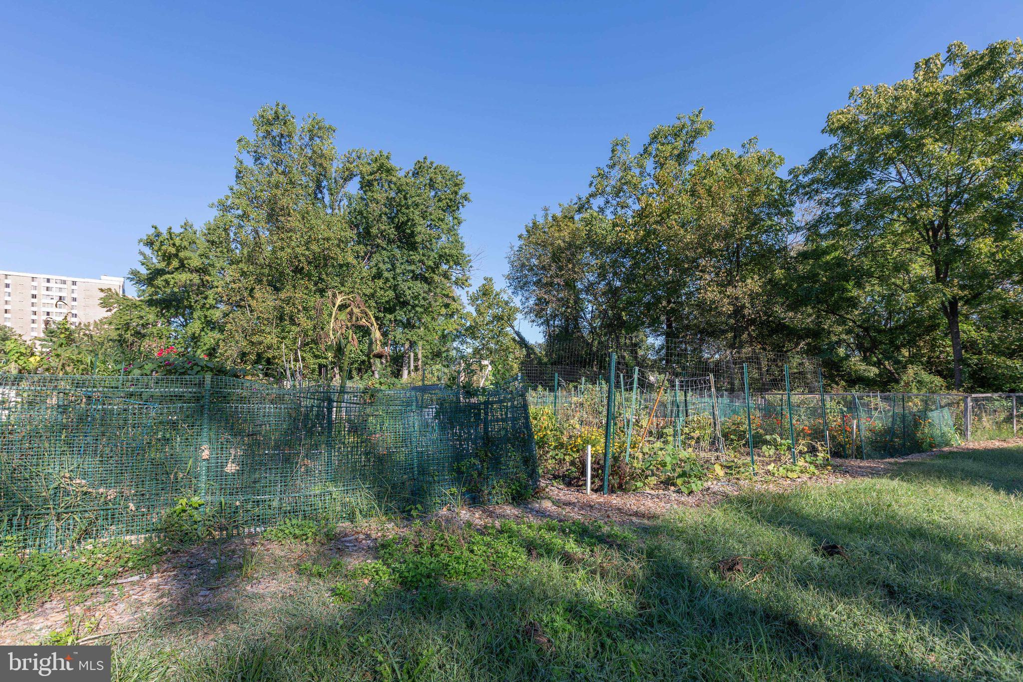 PAVILION ON THE PARK - Residential