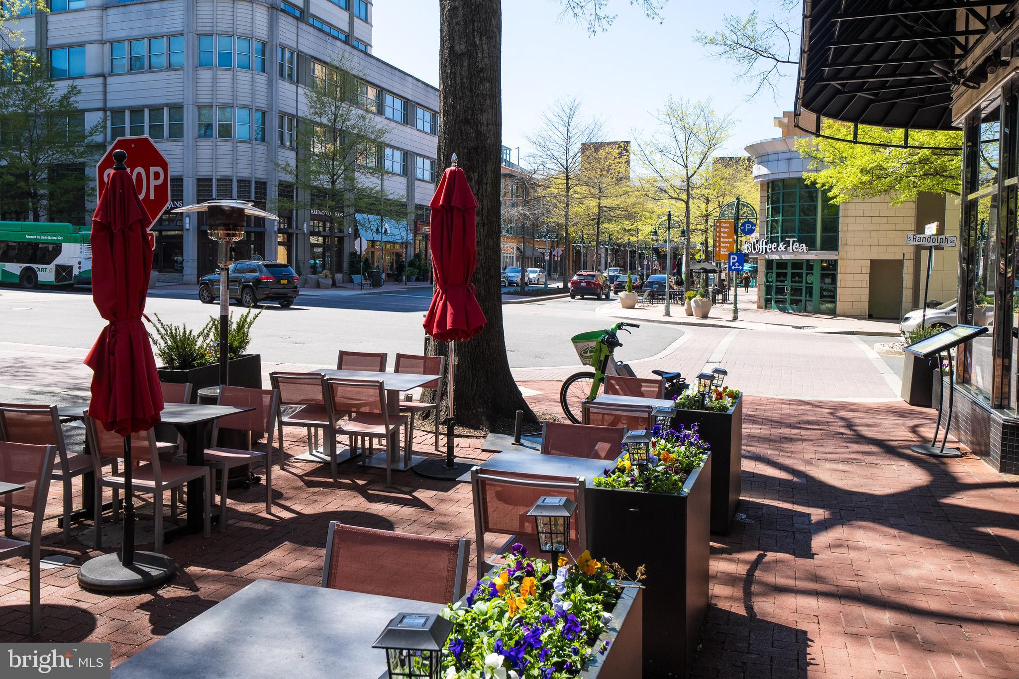 THE CARLTON - Residential