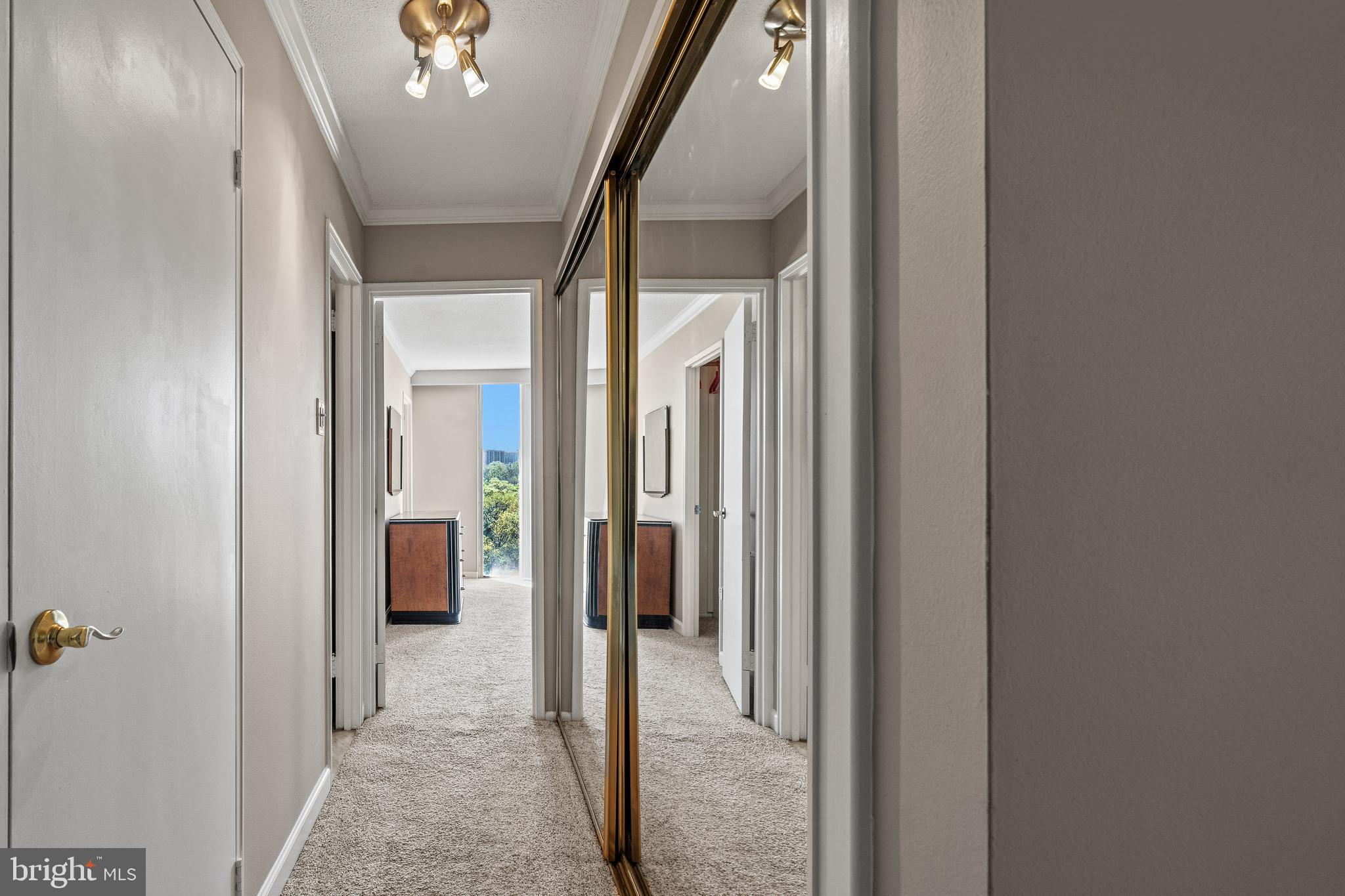 THE CARLTON - Residential