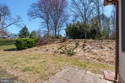 listing image 44