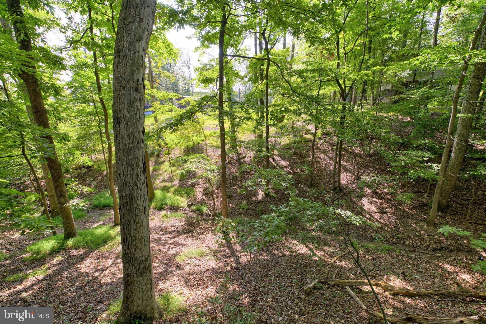 SLEEPY HOLLOW S/D - Residential