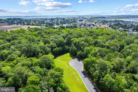 38121 NATURES WALK WAY SELBYVILLE DE 19975