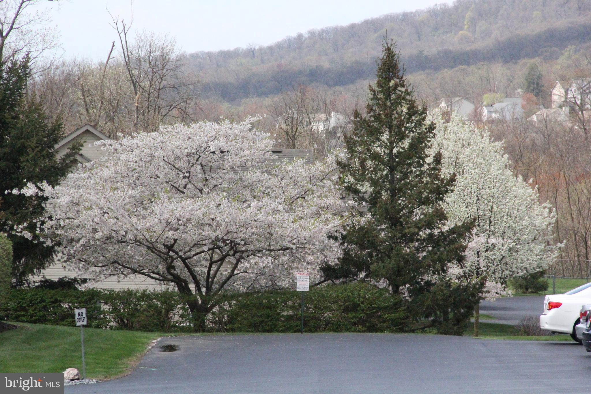 WOODLAND VIEW AT WAVERLY - Residential