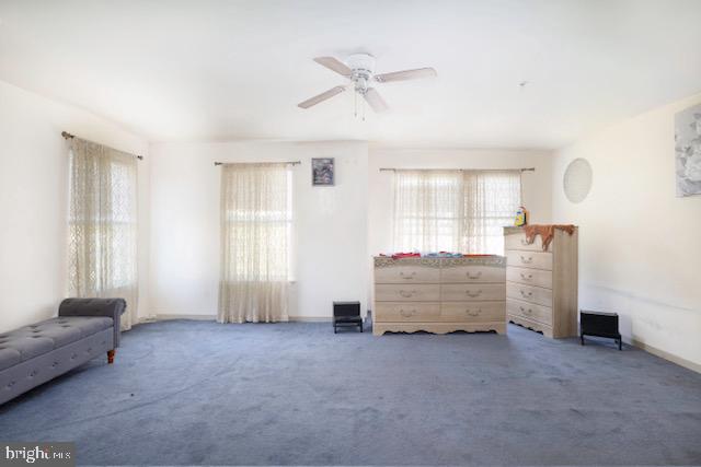 MALLARD LANDING - Residential