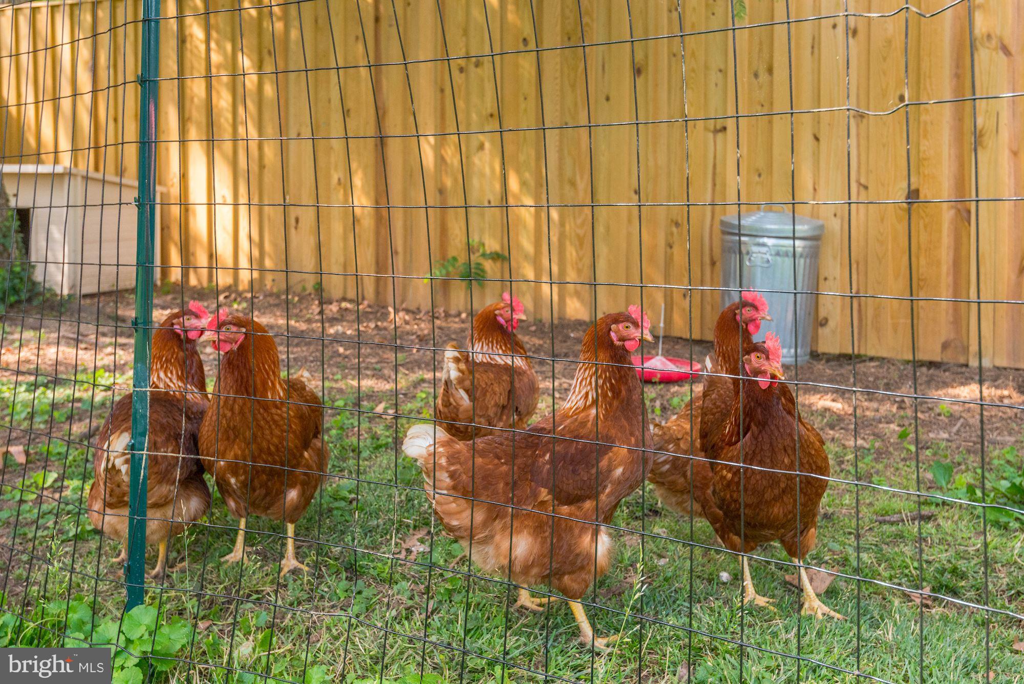 TOWN OF HAMILTON - Residential