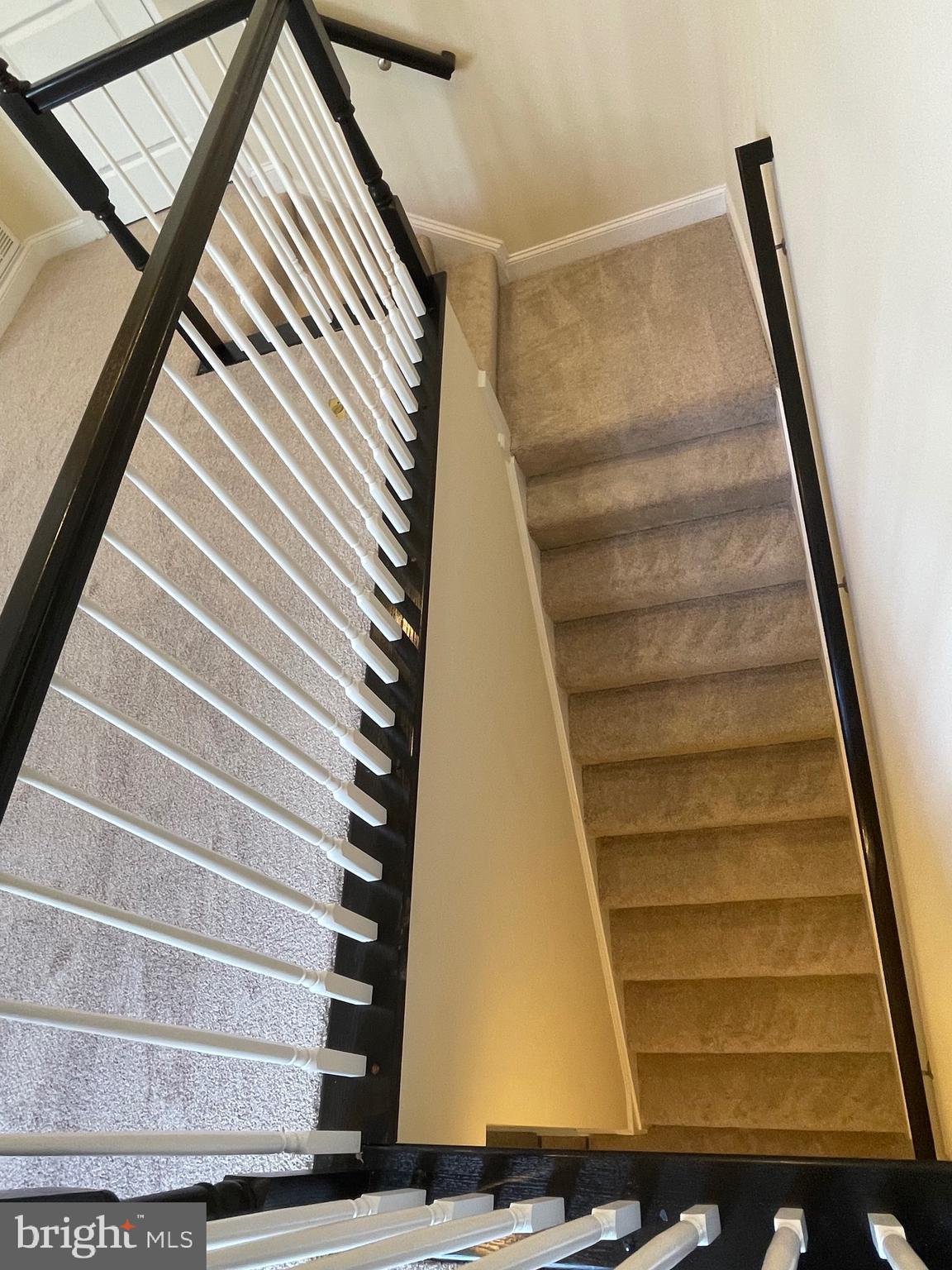 SPRING CREEK - Residential Lease