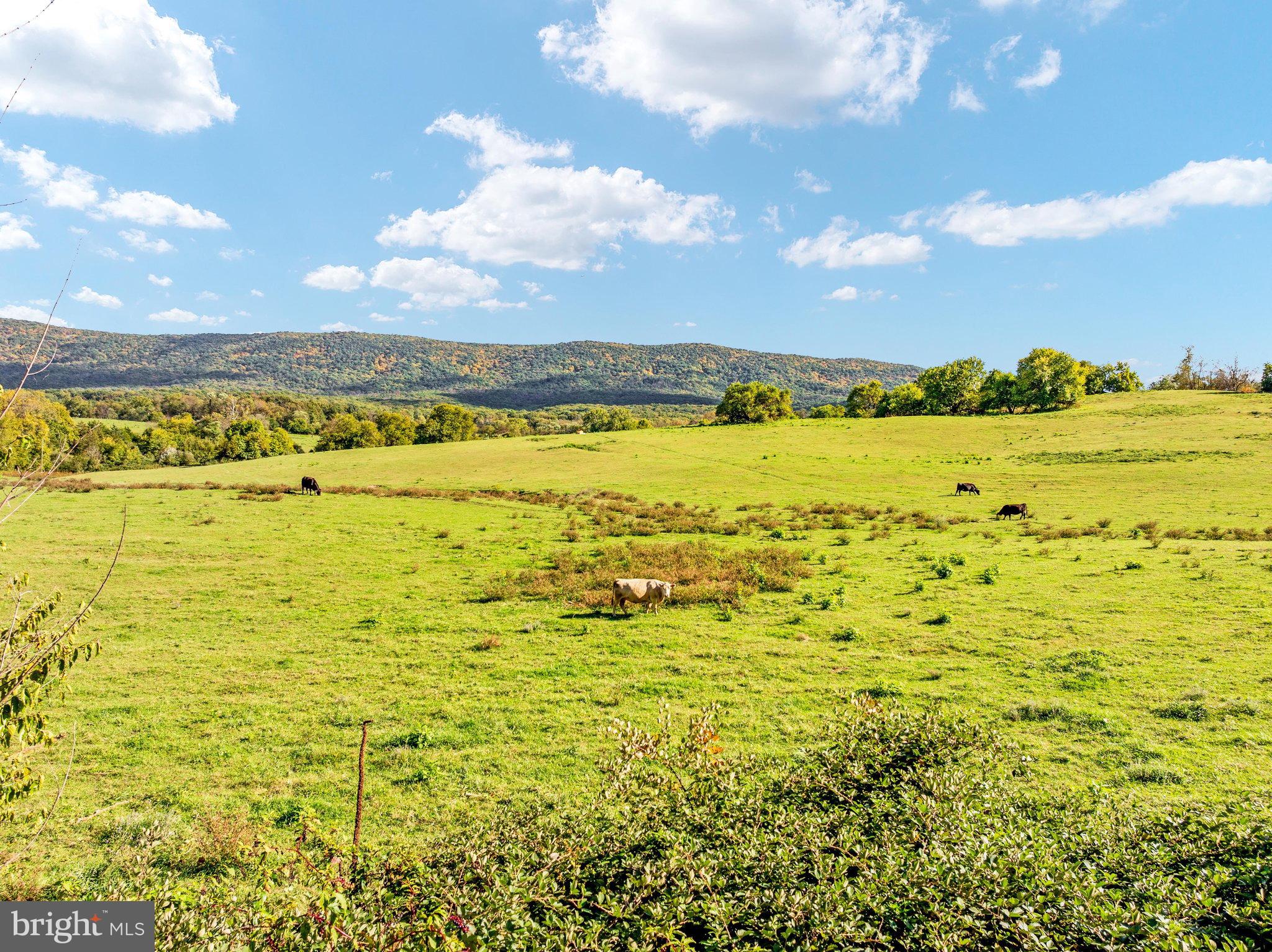 150AC RED BANKS ROAD