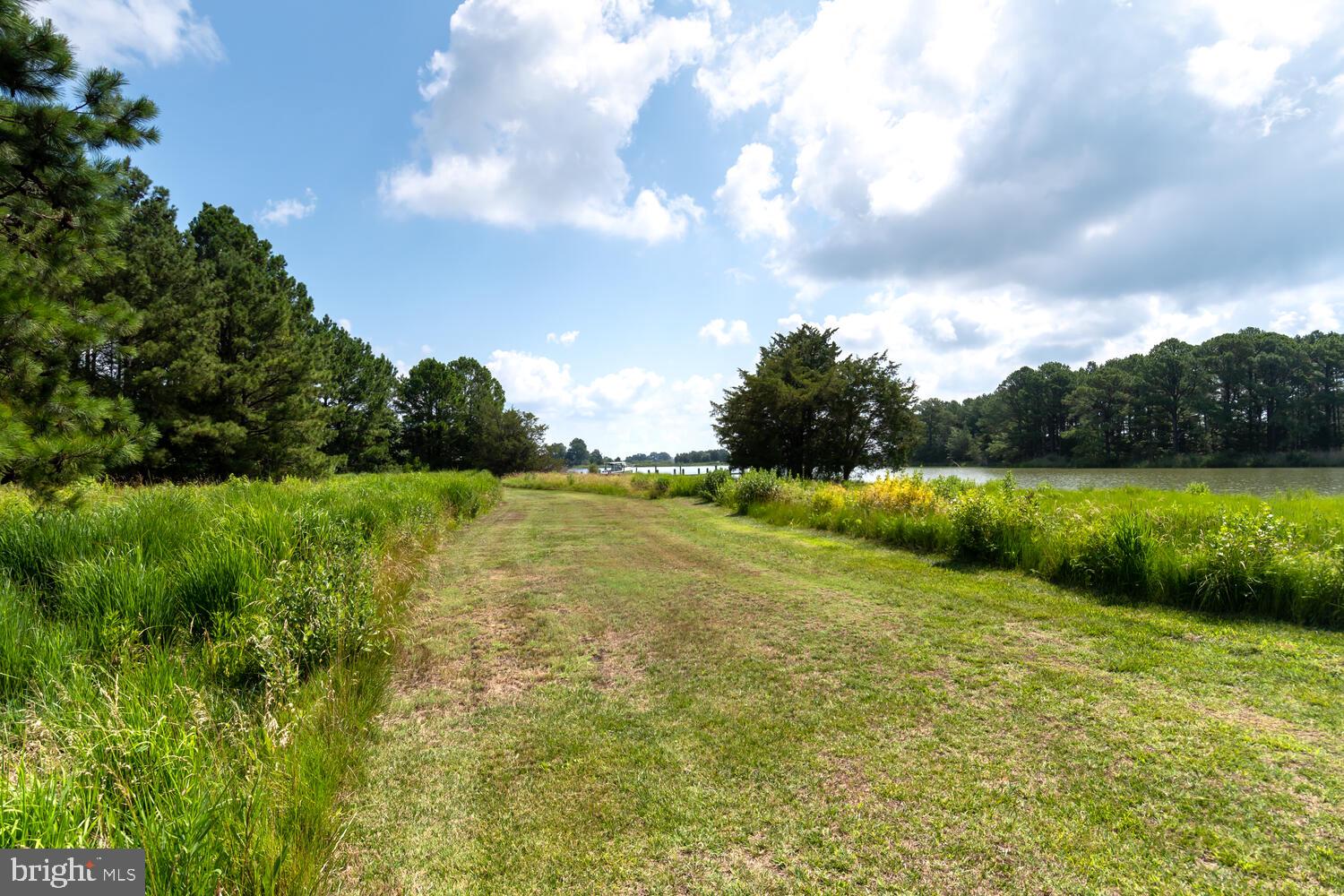 ROYAL OAK - Residential