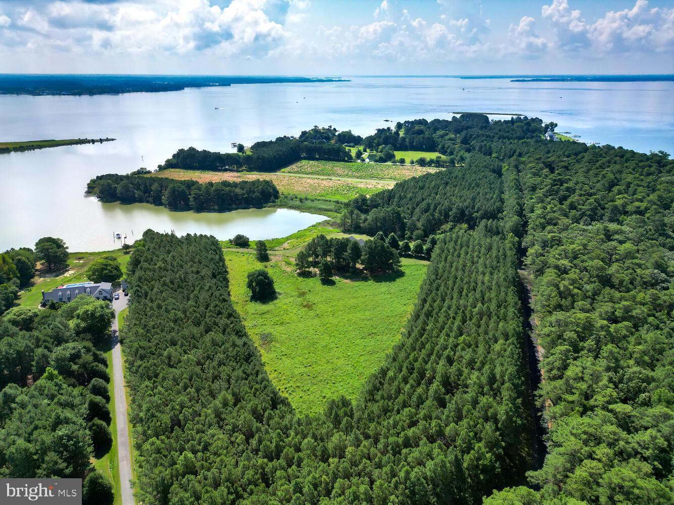 ROYAL OAK - Residential