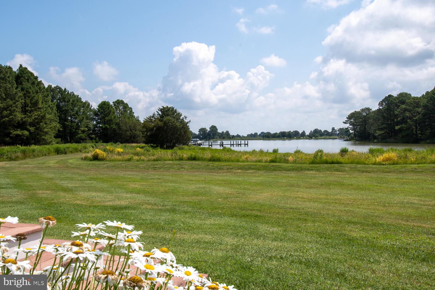 ROYAL OAK - Residential