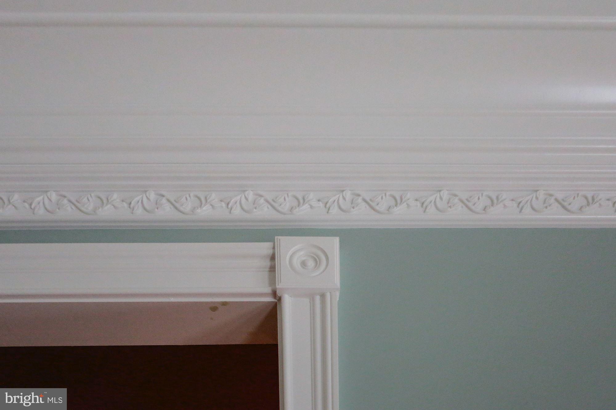 TRIADELPHIA WOODS - Residential