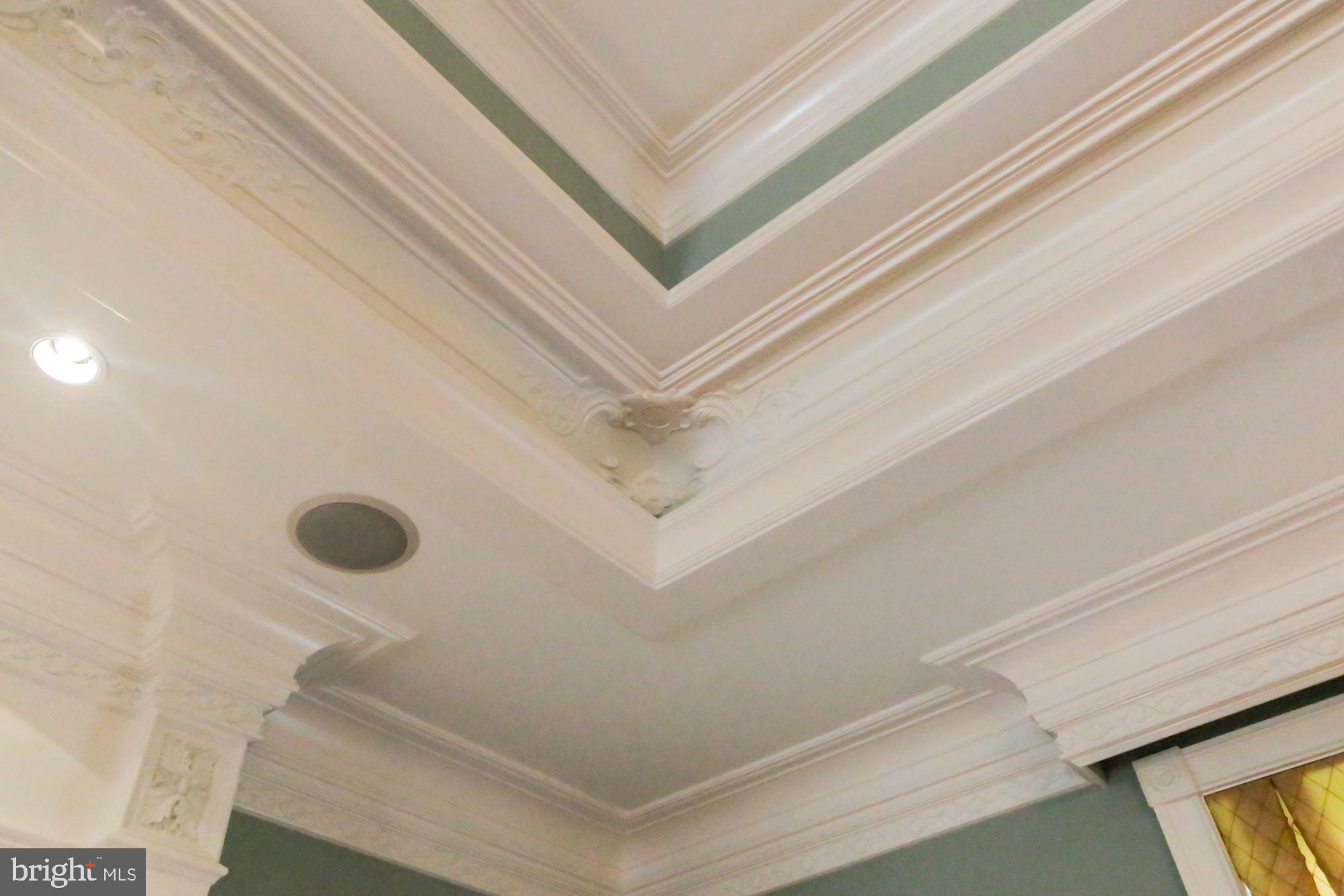 TRIADELPHIA WOODS - Residential