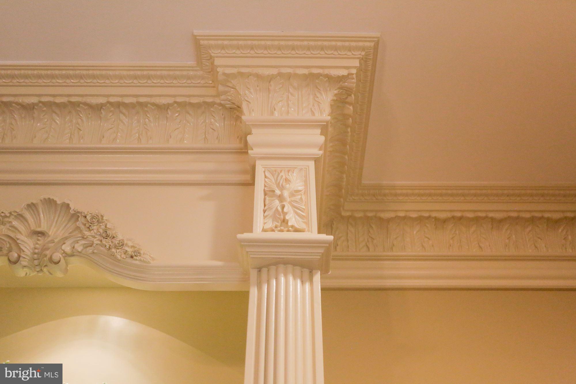 TRIADELPHIA WOODS - Residential