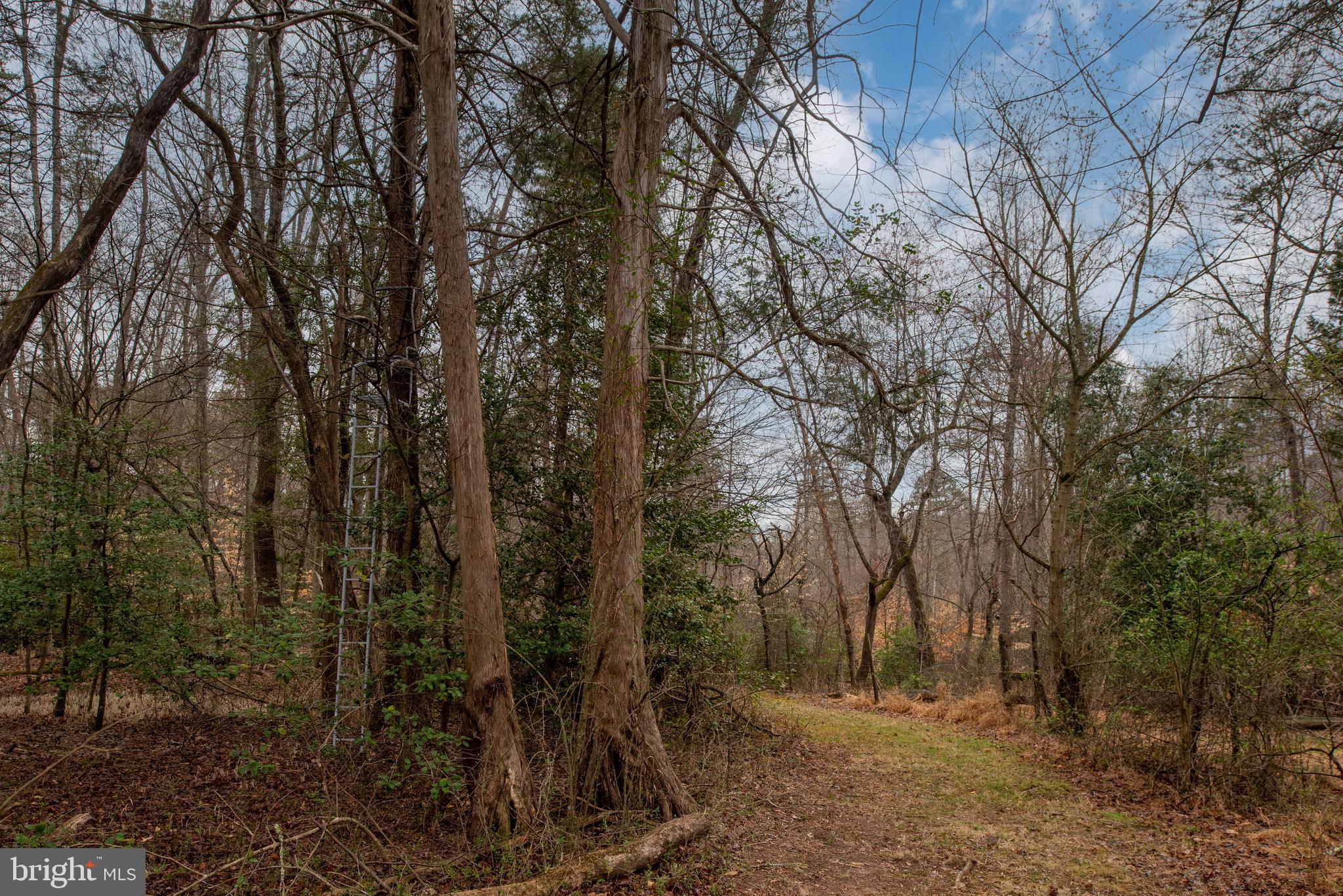 QUEENS GUARD - Residential