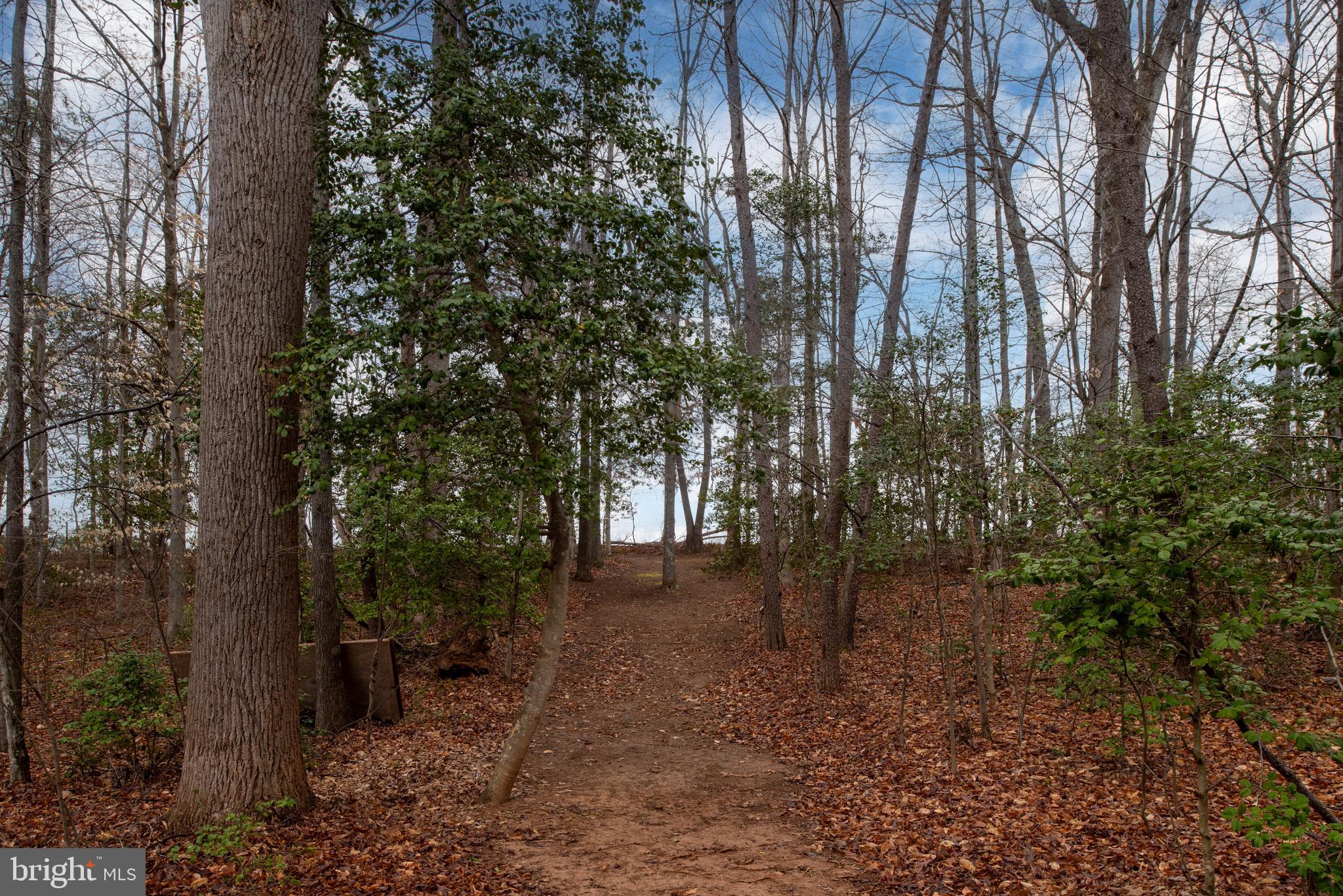 QUEENS GUARD - Residential