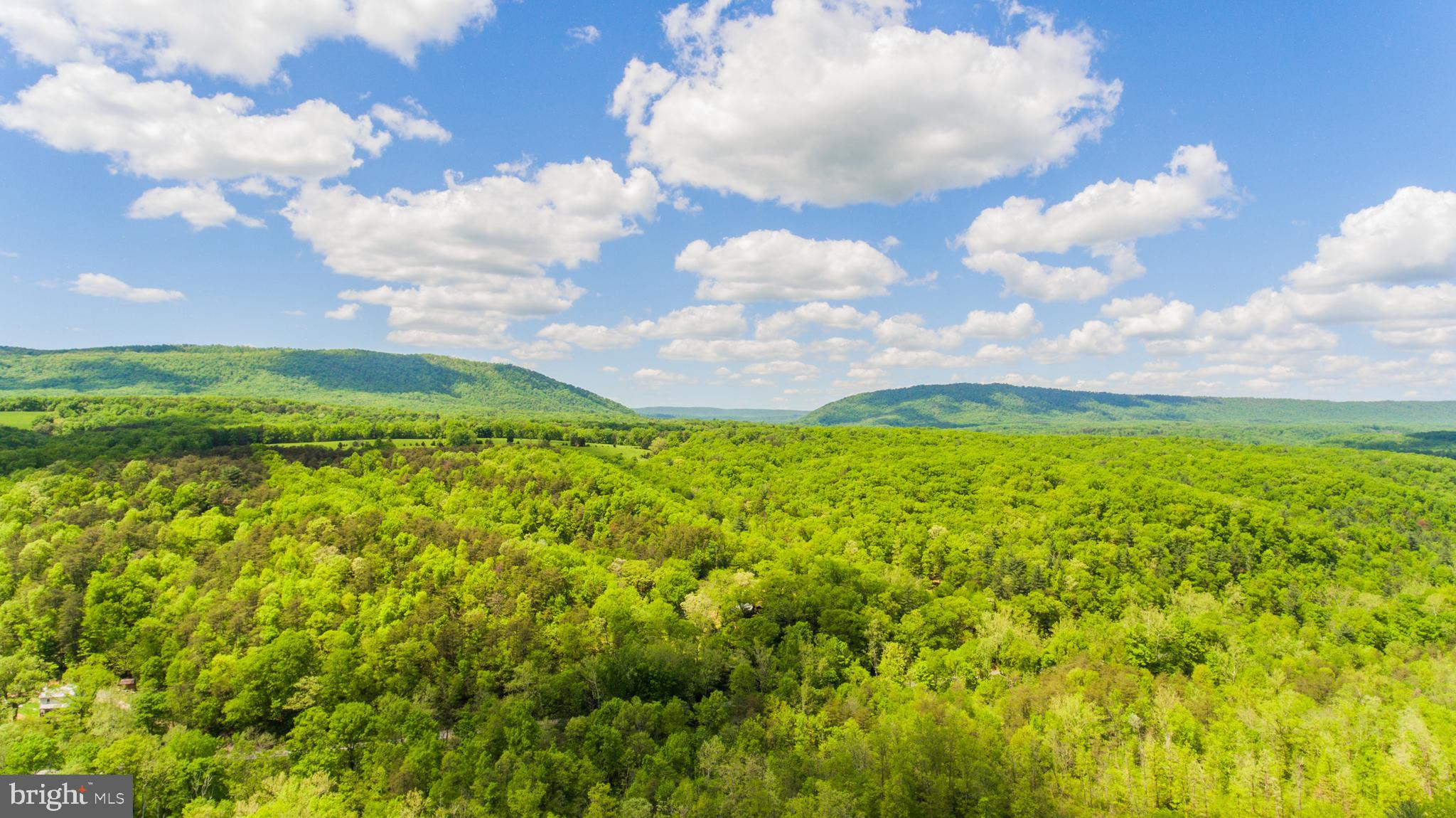 LONG HOLLOW - Residential