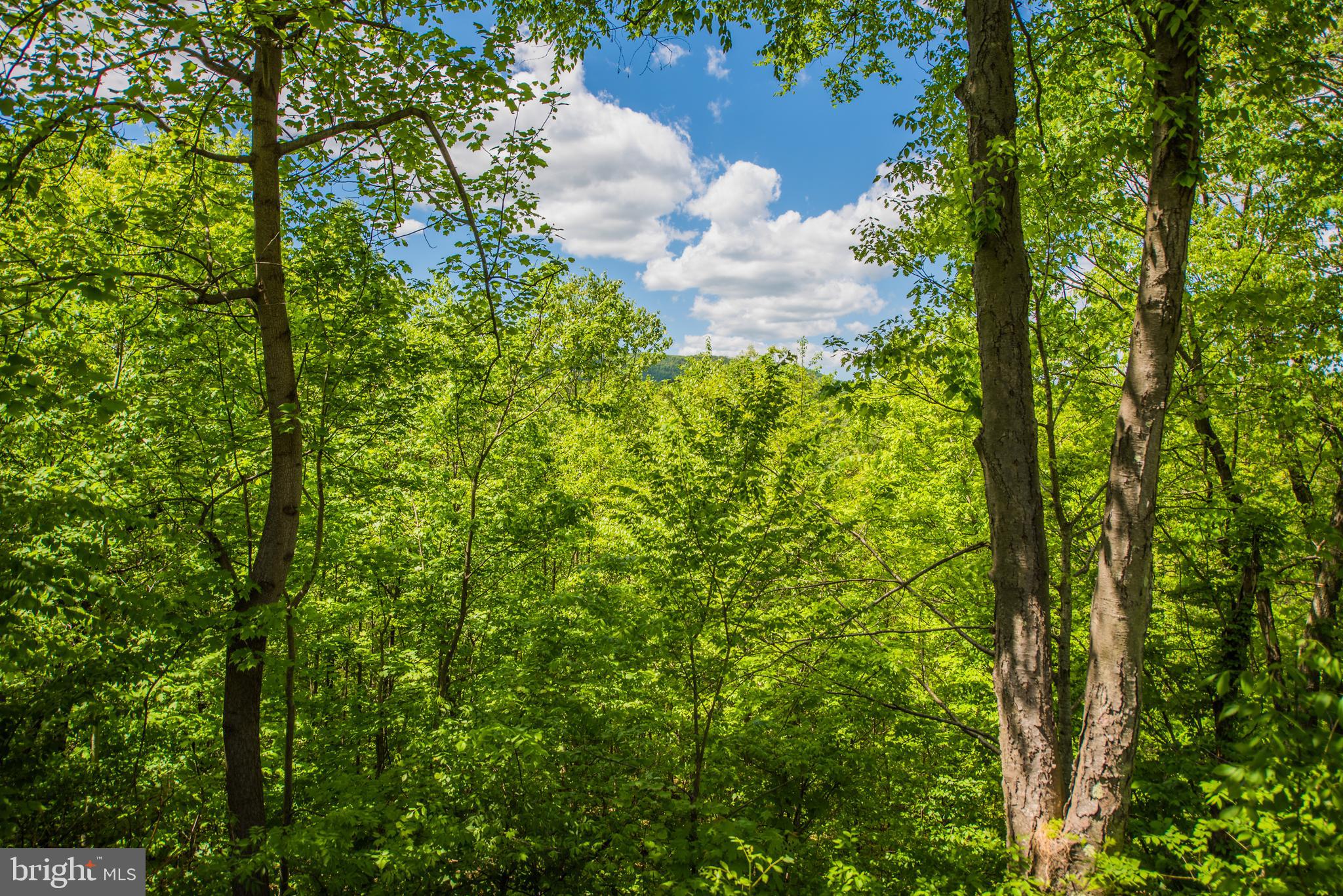 LONG HOLLOW - Residential