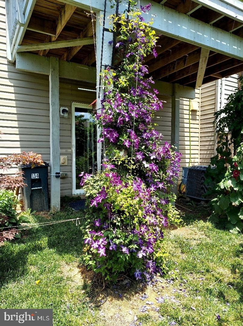 BERKELEY RIDGE - Residential