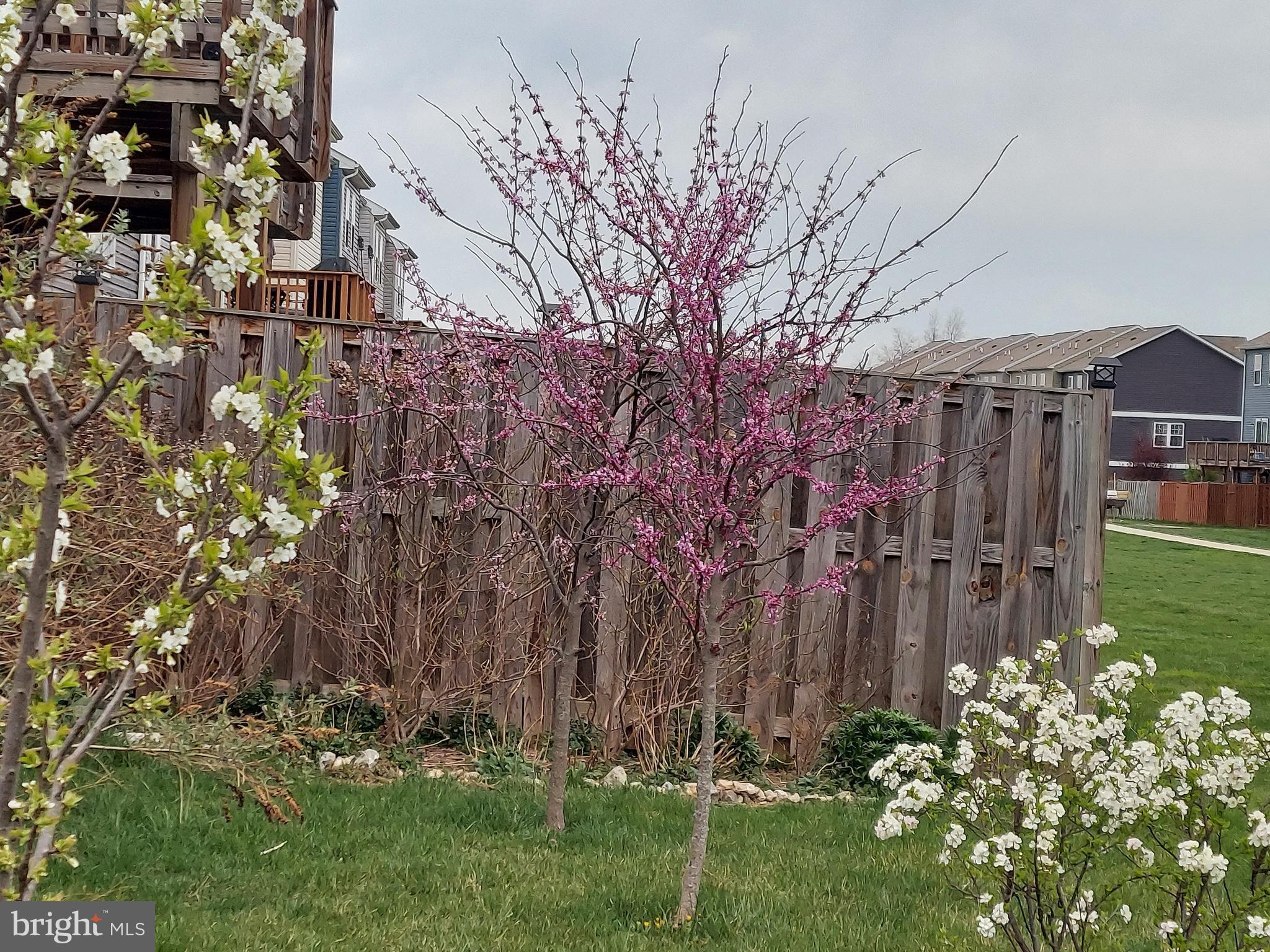 BERKELEY RIDGE - Residential