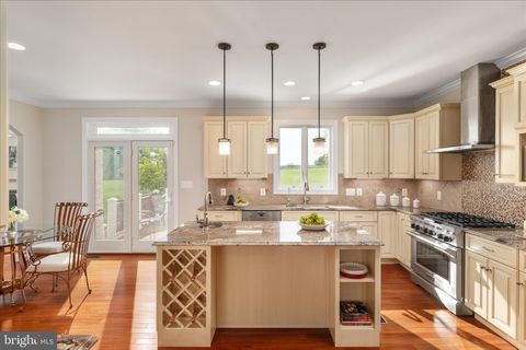Tiny photo for 16064 Waterford Creek Circle, HAMILTON, VA 20158 (MLS # VALO2123966)