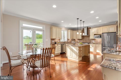 Tiny photo for 16064 Waterford Creek Circle, HAMILTON, VA 20158 (MLS # VALO2123966)