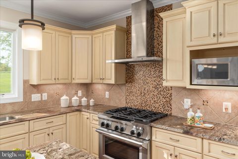 Tiny photo for 16064 Waterford Creek Circle, HAMILTON, VA 20158 (MLS # VALO2123966)