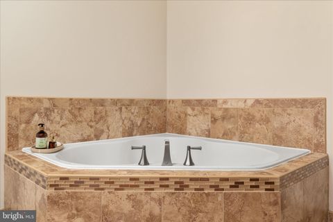 Tiny photo for 16064 Waterford Creek Circle, HAMILTON, VA 20158 (MLS # VALO2123966)