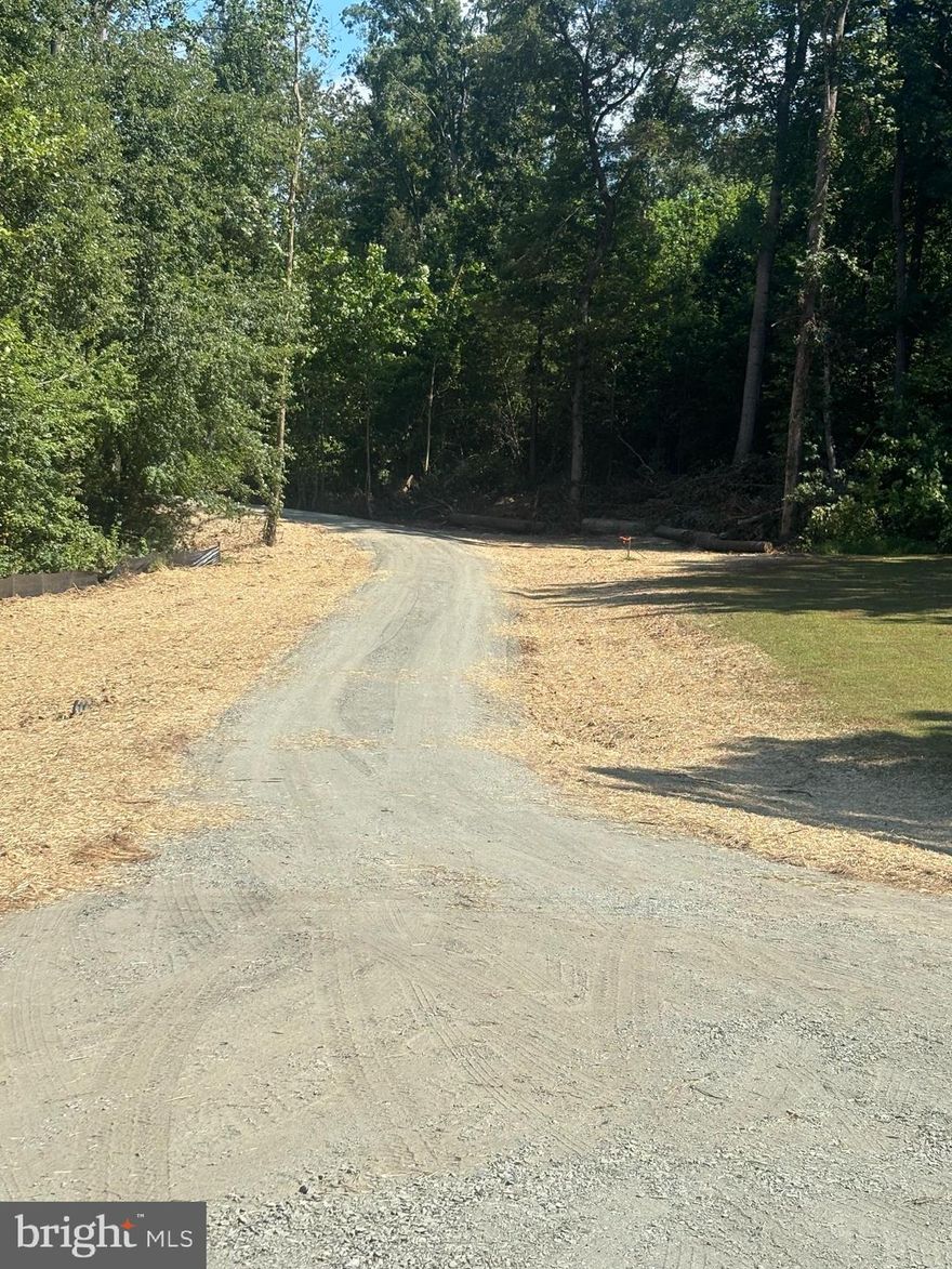 This property has a new entrance.  There is so much to offer here.  Come to Madison County, start your Organic Farm.   Make this your own sanctuary, your own peace and quiet.   This property has been untouched for many years.  It is in a very sought out area of Madison County, with great access for commute to Northern Virginia, Charlottesville and the Shenandoah Valley.  It boasts beautiful views and lots of wildlife.  
This property is vacant and can be viewed at any time.  There is an old logging road, but travel is rough.  So, make sure to bring your hiking boots and your bug spray when viewing.