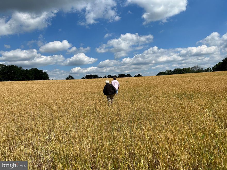 Welcome to Stoney Knoll Lane at Stoney Knoll,  an exquisite and unparalleled custom home neighborhood nestled in the heart of Berwyn, being built exclusively by Pohlig Builders, within the illustrious Main Line. A true gem among the region's prestigious enclaves, Stoney Knoll boasts a private and enchanting landscape adorned with 17 generously sized homesites, ranging in size over 2 acres and an adjacent preserved 50-acre viewshed, providing the canvas for discerning clients to bring their architectural dreams to life.  Use your own architect, or one of our plans to create your dream home on this exquisite site, minutes from everything the main line has to offer!  These listings are for the land, and the custom build cost will range between $600-$800 per square foot.