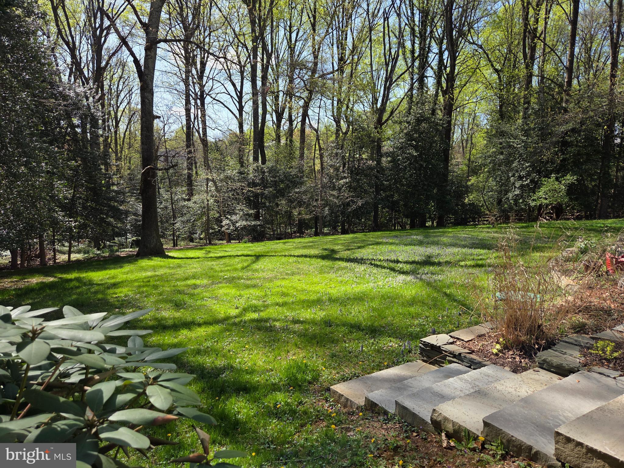 FOX MILL ACRES - Residential