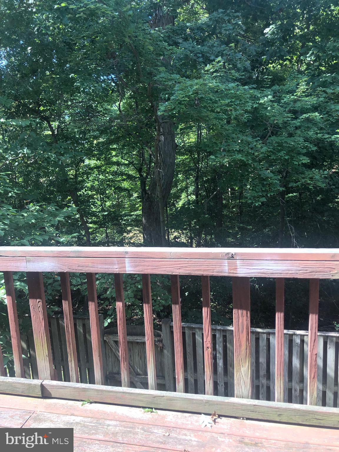 BETHELEN WOODS - Residential Lease